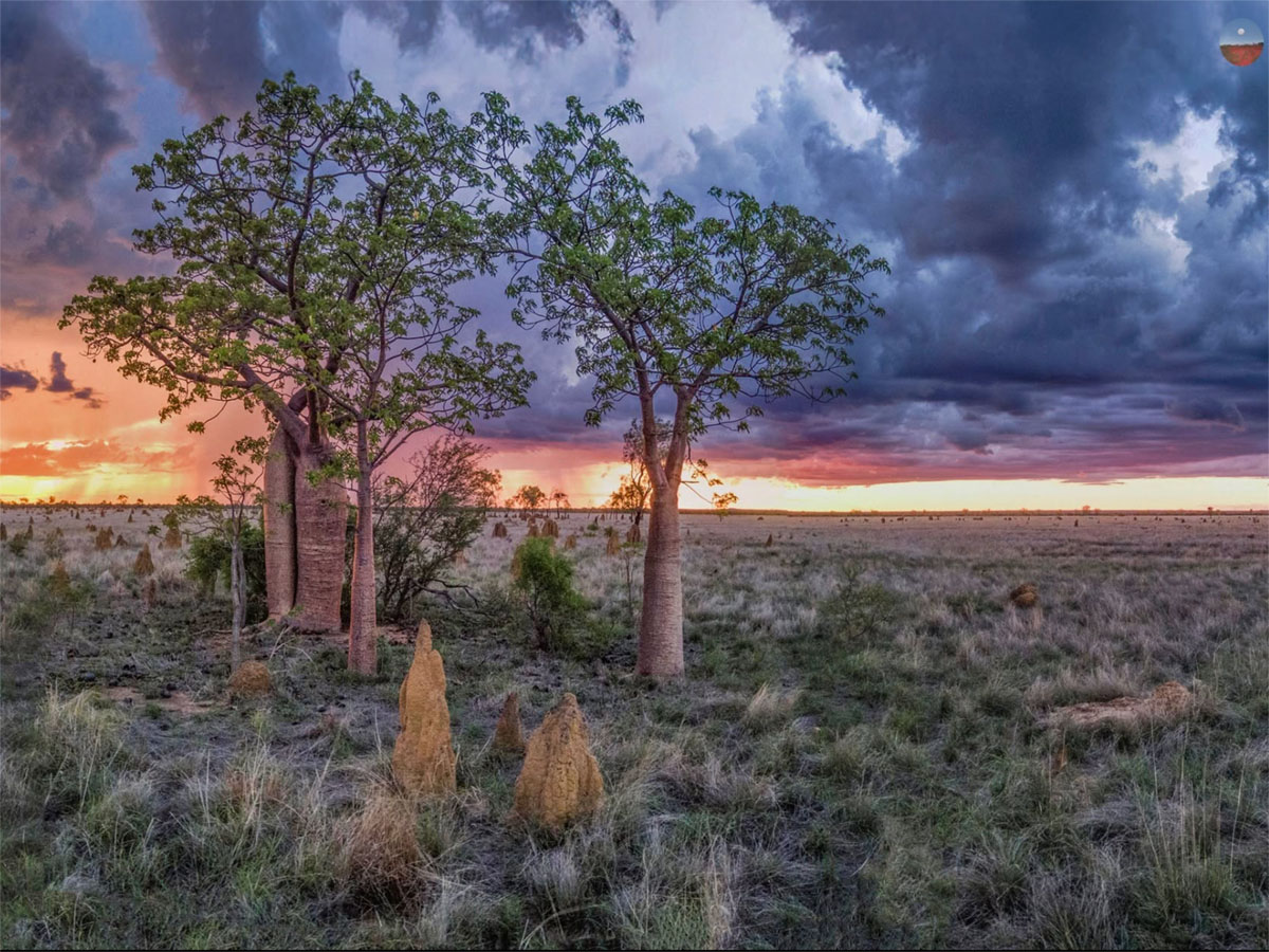 Damien Kelly Photography