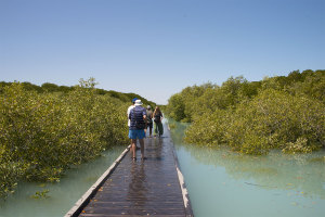 High tide at Streeters Jetty