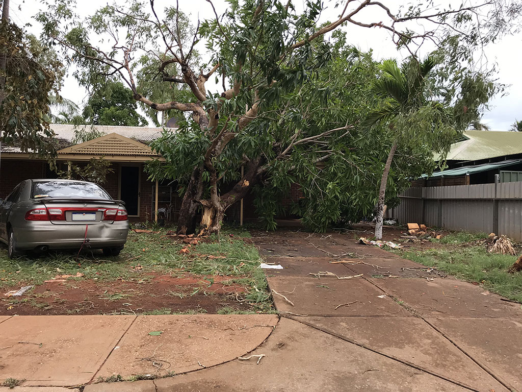 Chippindall-Place-Broome Tree smashes into car port, Chippindall Place, Broome